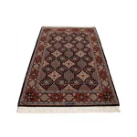 Hamedan 40 Raj Handwoven Carpet, Zar o Nim Size02