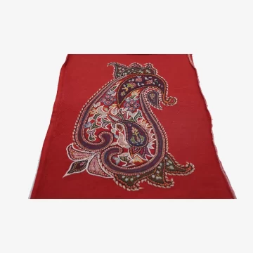 Ruby red kerman pateh with paisley pattern01