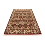 Shahrekord 35 Raj Handwoven Carpet, 6 Square Meter Size02