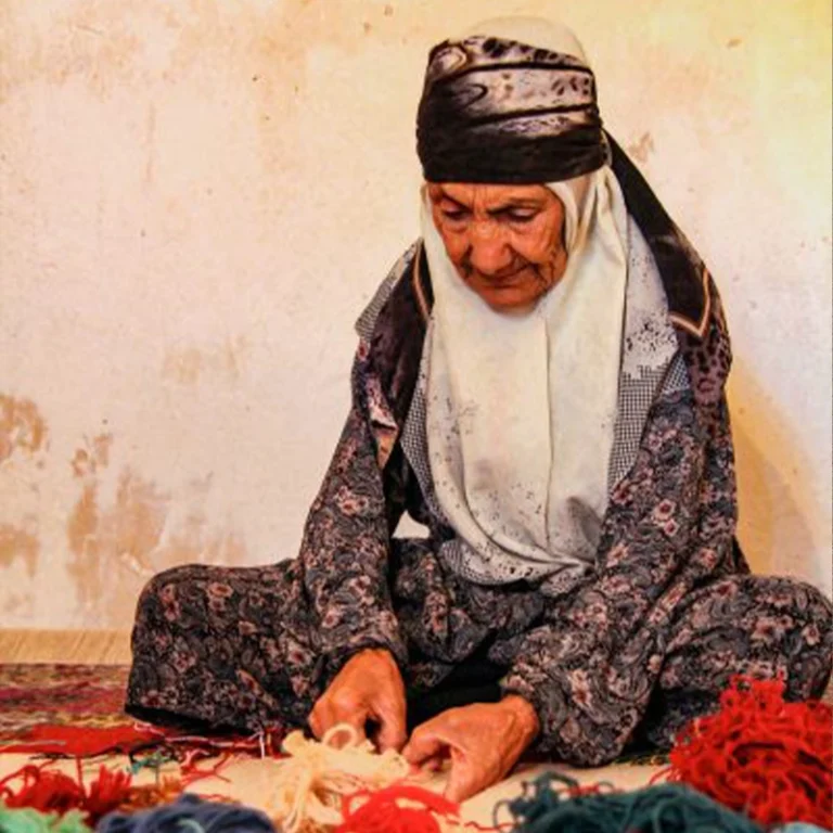 Mah Nesa Shahsavari Pour
